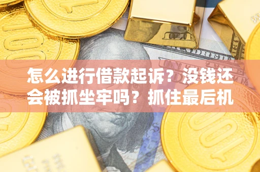 武汉怎么进行借款起诉？没钱还会被抓坐牢吗？抓住最后机会！