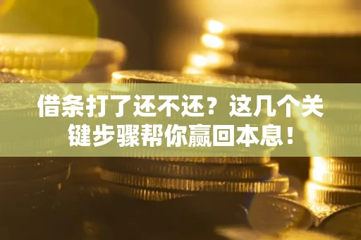 武汉借条打了还不还？这几个关键步骤帮你赢回本息！