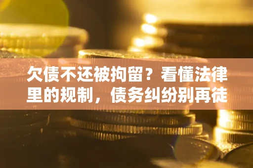 武汉欠债不还被拘留？看懂法律里的规制，债务纠纷别再徒劳奔波