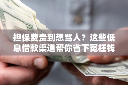 武汉担保费贵到想骂人？这些低息借款渠道帮你省下冤枉钱