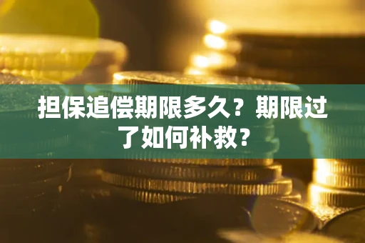 武汉担保追偿期限多久？期限过了如何补救？