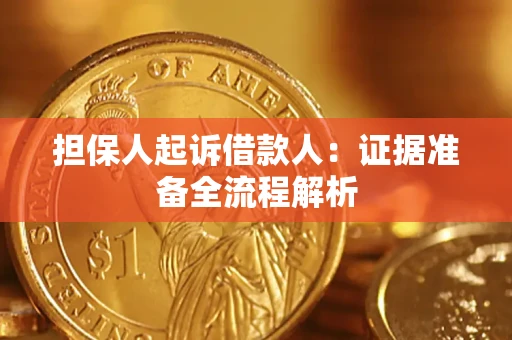 武汉担保人起诉借款人：证据准备全流程解析