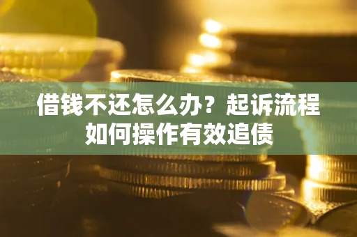 武汉借钱不还怎么办？起诉流程如何操作有效追债