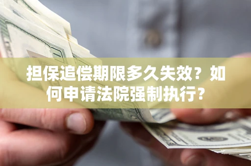 武汉担保追偿期限多久失效？如何申请法院强制执行？