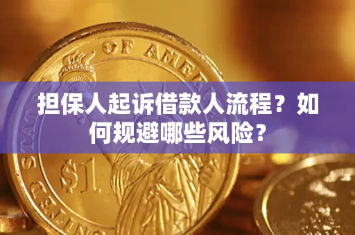 武汉担保人起诉借款人流程？如何规避哪些风险？