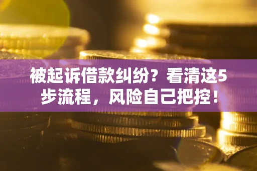 武汉被起诉借款纠纷？看清这5步流程，风险自己把控！