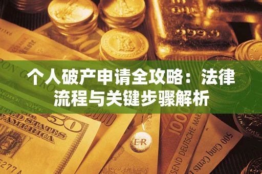武汉个人破产申请全攻略：法律流程与关键步骤解析
