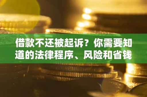 武汉借款不还被起诉？你需要知道的法律程序、风险和省钱技巧