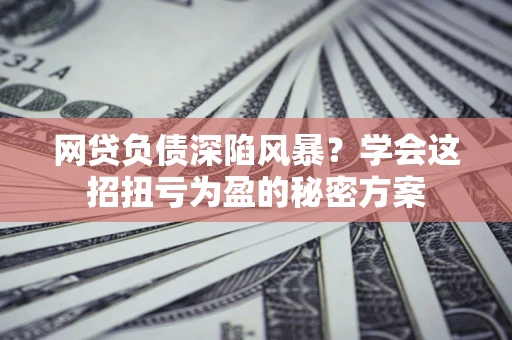 武汉网贷负债深陷风暴？学会这招扭亏为盈的秘密方案